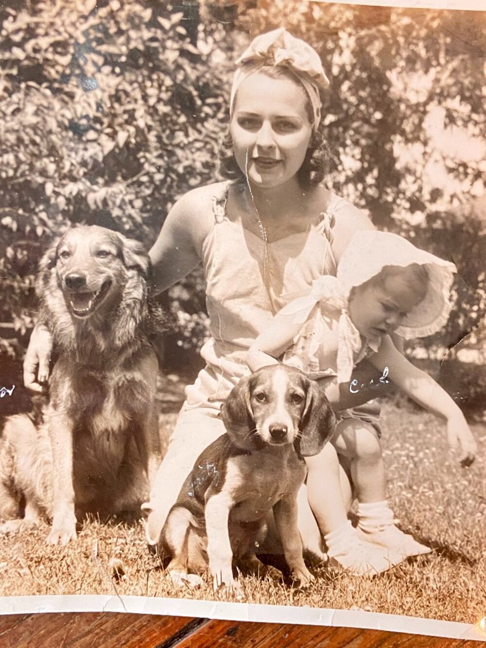Antique 1930s Pretty Young Lady Poses Beagle Dog Child 8x10" World Photo Service